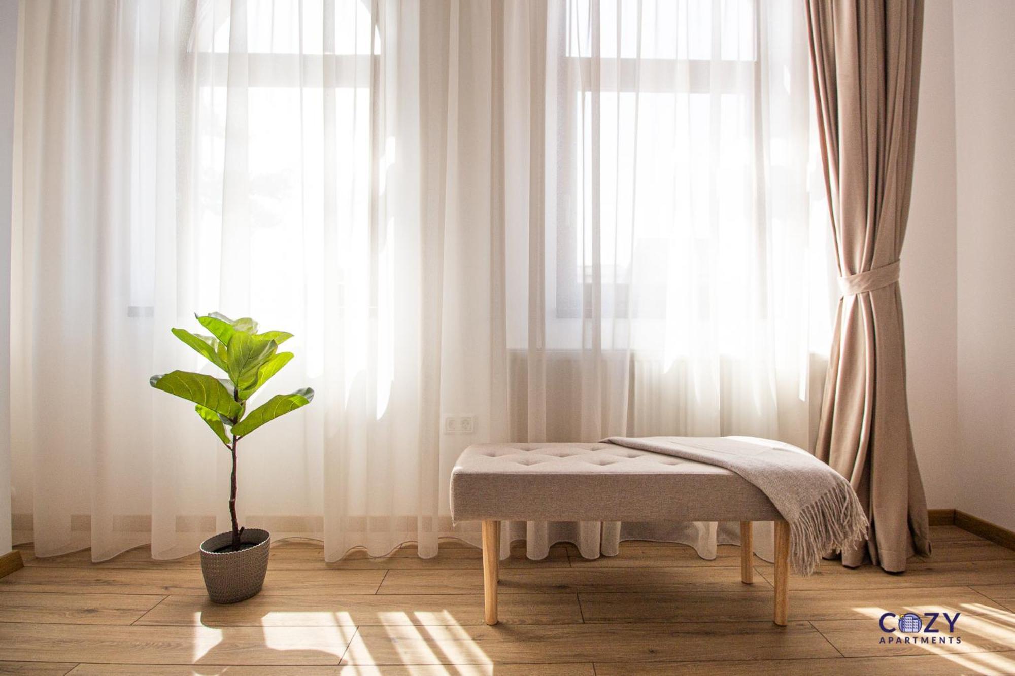 Cozy Brand New Boutique Aparthotel 布拉索夫 外观 照片