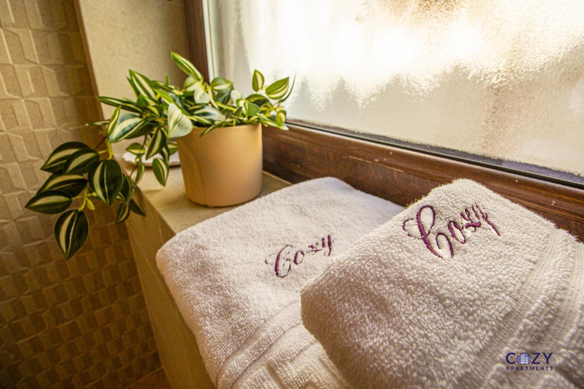 Cozy Brand New Boutique Aparthotel 布拉索夫 外观 照片